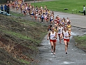2010NCSXC GD3-575